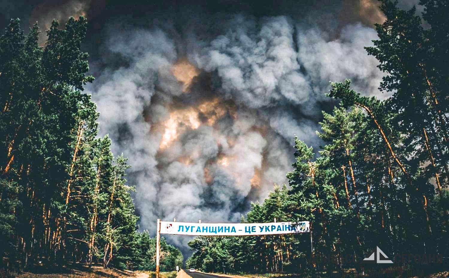 Донбасс лес горел стволы война
