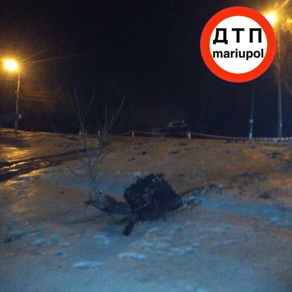 Под Мариуполем водитель погиб вместе с собакой