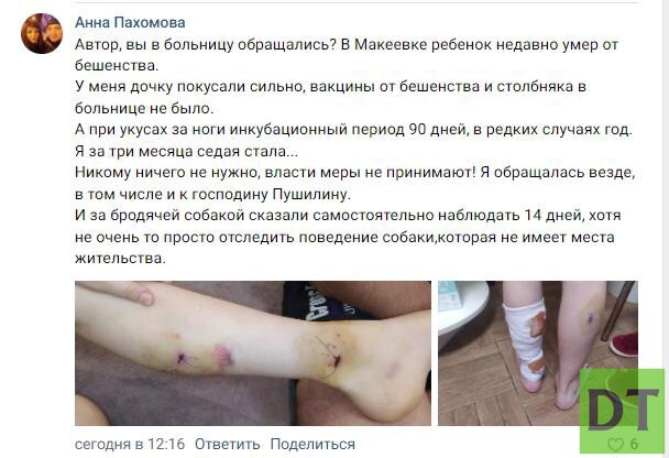 В ДНР от укуса бешеной собаки погиб школьник