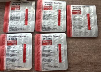 Таможенники ДНР и Ростова раскрыли схему контрабанды прегабалина