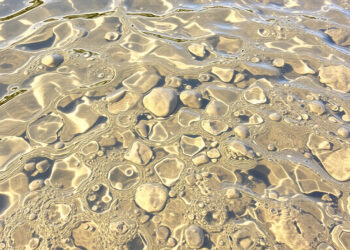 В ДНР призывают беречь воду из-за засухи и аварий