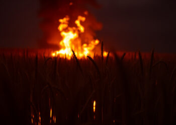 В Республике бушуют пожары: особый режим введён с 1 июня