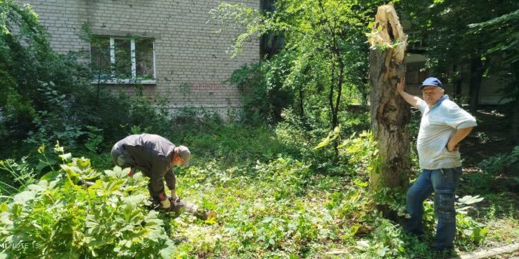 В Дебальцево убрали аварийные деревья