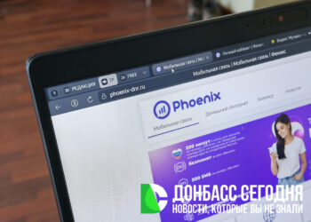 Без бывшего владельца и без волокиты: в ДНР стартовала перерегистрация номеров «Феникс»