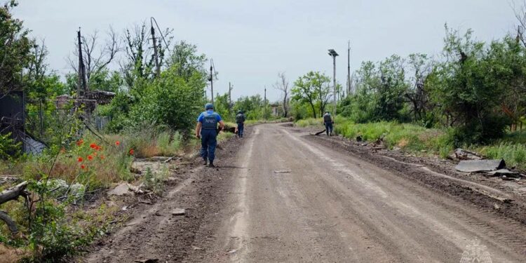 Первые дома в Красногоровке подключили к свету