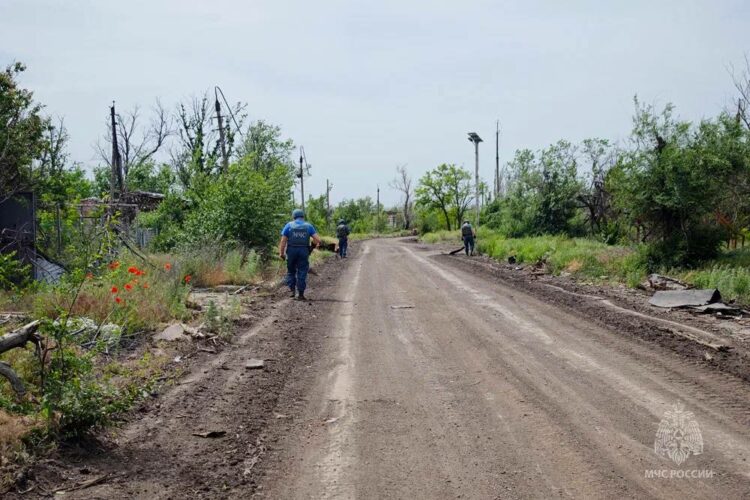 Первые дома в Красногоровке подключили к свету