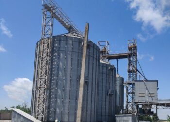 Фермеры Донбасса переходят на свои семена