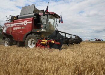 В ДНР начали использовать новые комбайны «Брянсксельмаш» для уборки урожая