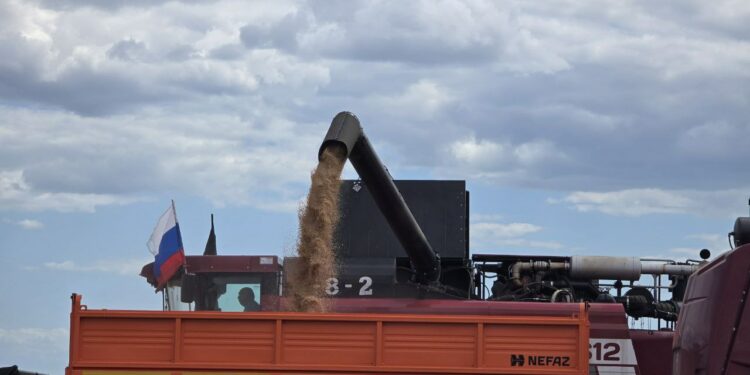 В ДНР открылось первое семеноводческое хозяйство