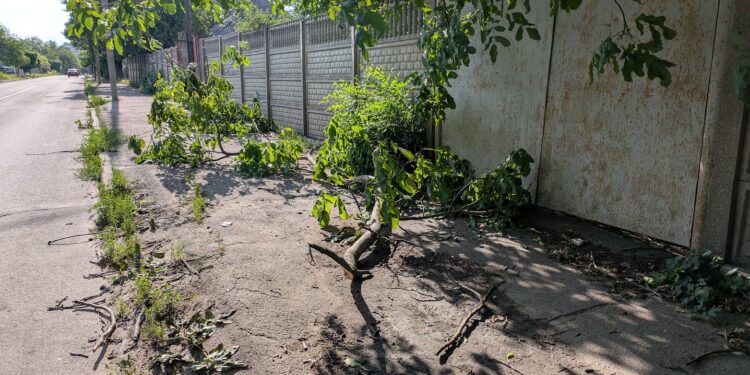 В Донецке из-за непогоды без света остались тысячи жителей