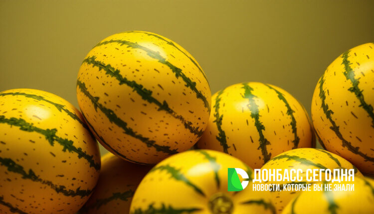 Дынная лихорадка: «Колхозница» и «Торпеда» штурмуют рынки