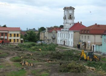 Украинцам под Львовом при поддержке ЕС удалось победить советские деревья