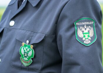 Из порта Мариуполя отправили шесть судов с пшеницей