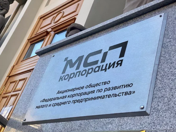 5,45 млрд рублей для предпринимателей новых регионов: как работает система поддержки