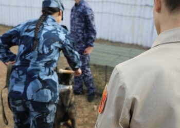 Дети сотрудников ГУФСИН по ДНР встретились с героем СВО и высадили розы