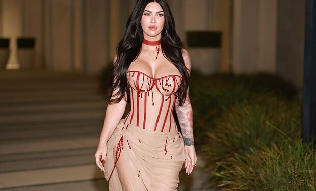 Меган Фокс удивила сеть новой пышной грудью