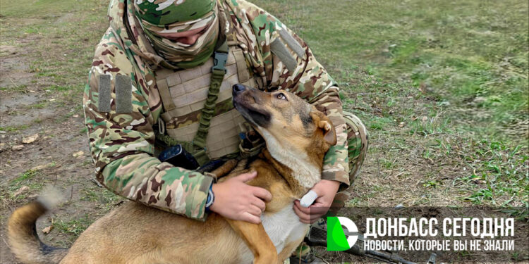 Продвижение сразу на трёх участках: группировка “Центр” усиливает наступление