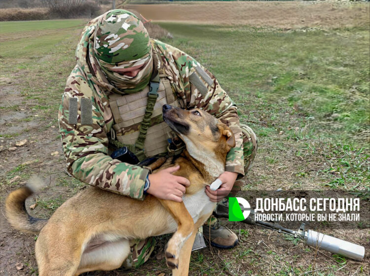 Продвижение сразу на трёх участках: группировка “Центр” усиливает наступление