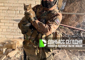 «Центр» входит в финальную фазу: что происходит под Красноармейском прямо сейчас