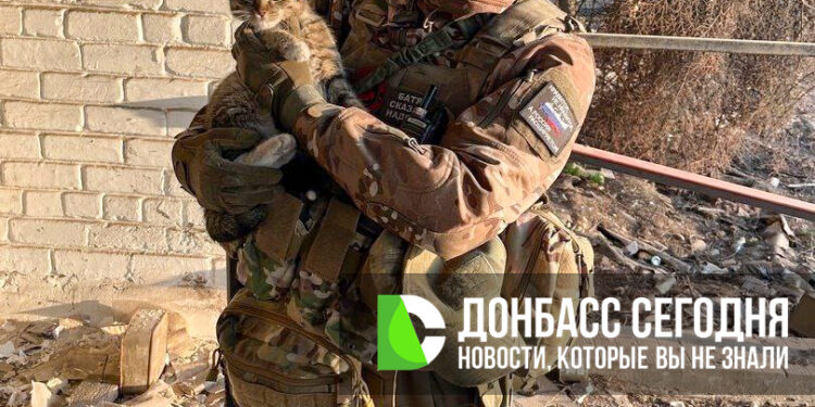 «Центр» входит в финальную фазу: что происходит под Красноармейском прямо сейчас