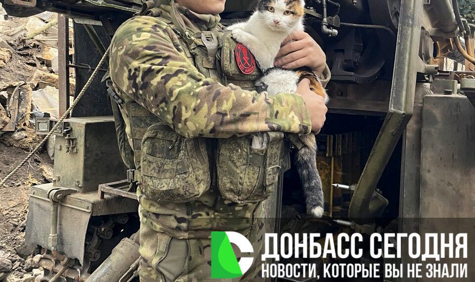 Группировка «Центр» наступает под Гришино и завершает зачистку Димитрова