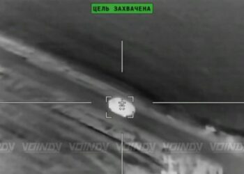 Операторы БпЛА уничтожили бронетехнику под Любицким и Малиновкой