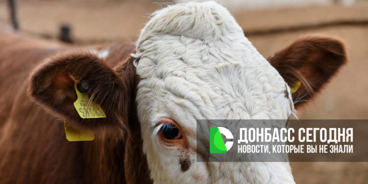 Когда и каких животных необходимо промаркировать в 2026 году