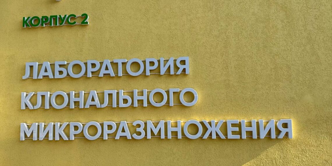 В Донецком ботаническом саду завершён первый этап реконструкции