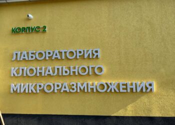 В Донецком ботаническом саду завершён первый этап реконструкции