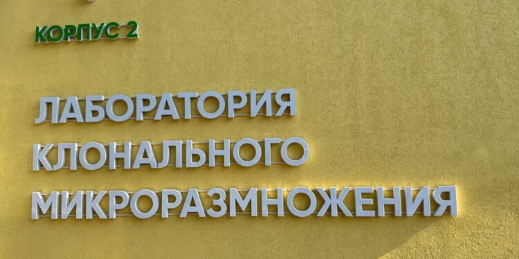В Донецком ботаническом саду завершён первый этап реконструкции