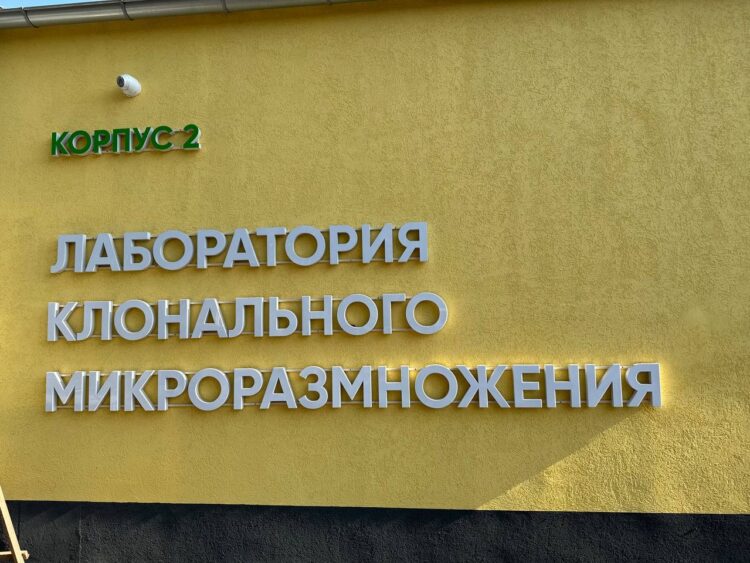 В Донецком ботаническом саду завершён первый этап реконструкции