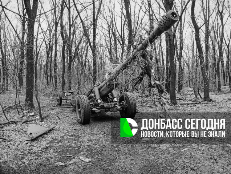 ГВ «Центр»: ВСУ продолжают отправлять на убой подкрепление из Доброполья в Новый Донбасс