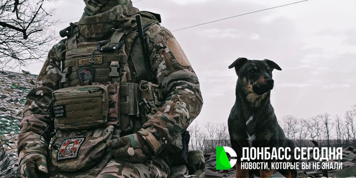 Когда может завершиться СВО: прогнозы на 2026 год