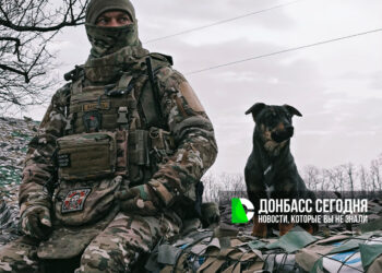 Когда может завершиться СВО: прогнозы на 2026 год