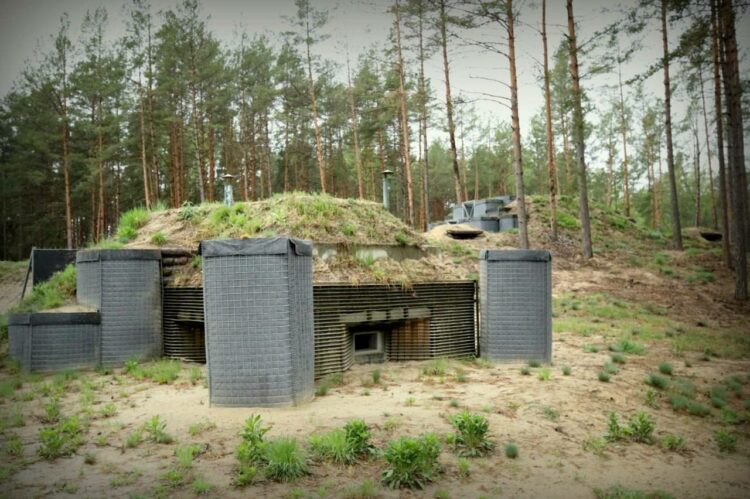 ВСУ копят войска на границе с Беларусью