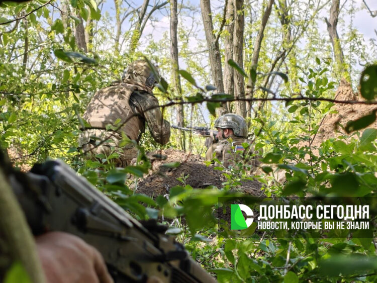 «Центр» рвётся к Доброполью: тяжёлые бои за Шевченко и Новопавловку
