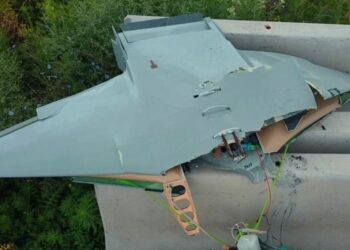 Под Волновахой сбили украинский дрон «Рубака» с 5-килограммовой боеголовкой