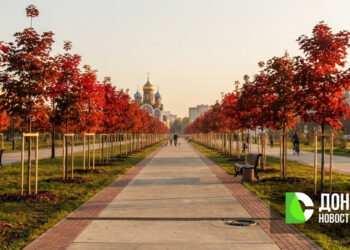 В ДНР стартовал проект «Красный клён»: более 5000 деревьев высадят в память о погибших мирных жителях