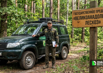 Пензенская область поможет восстановить Великоанадольский лесохоз в ДНР