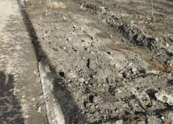 По 1,1 кубометра в каждом: в Кировском модернизируют сбор отходов